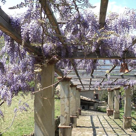 산 피에로 파티 Agriturismo Il Daino 빌라 외부 사진