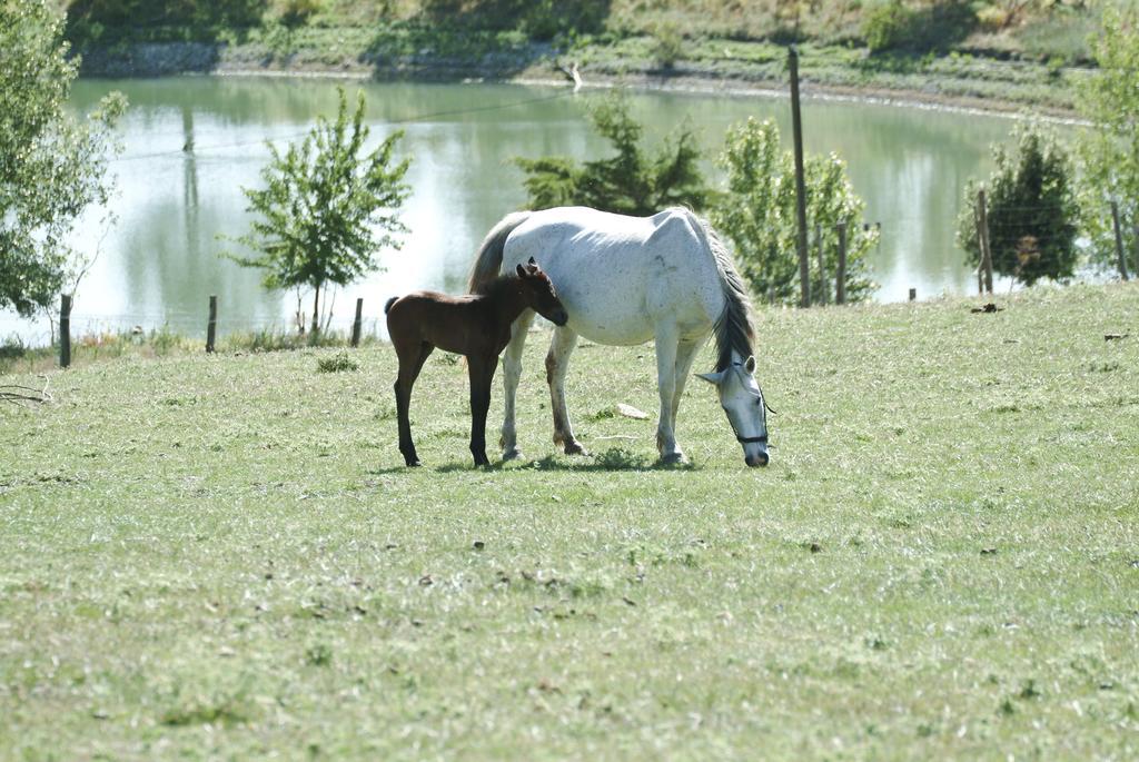 산 피에로 파티 Agriturismo Il Daino 빌라 외부 사진