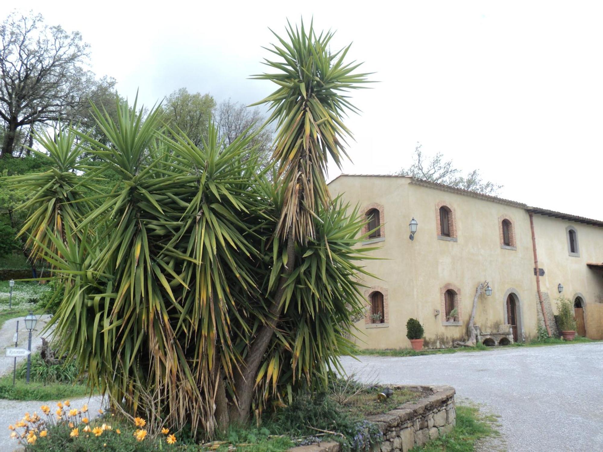 산 피에로 파티 Agriturismo Il Daino 빌라 외부 사진