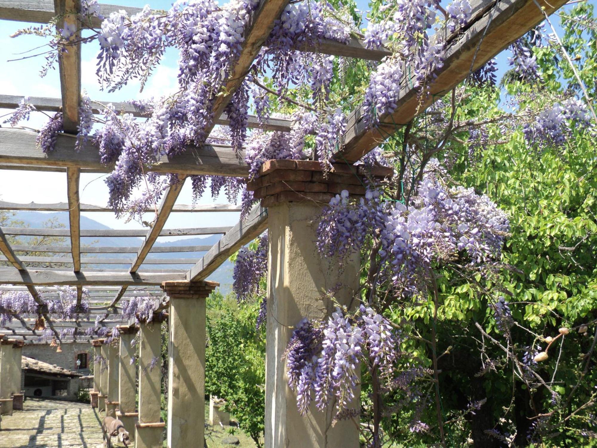 산 피에로 파티 Agriturismo Il Daino 빌라 외부 사진