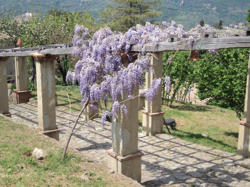 산 피에로 파티 Agriturismo Il Daino 빌라 외부 사진