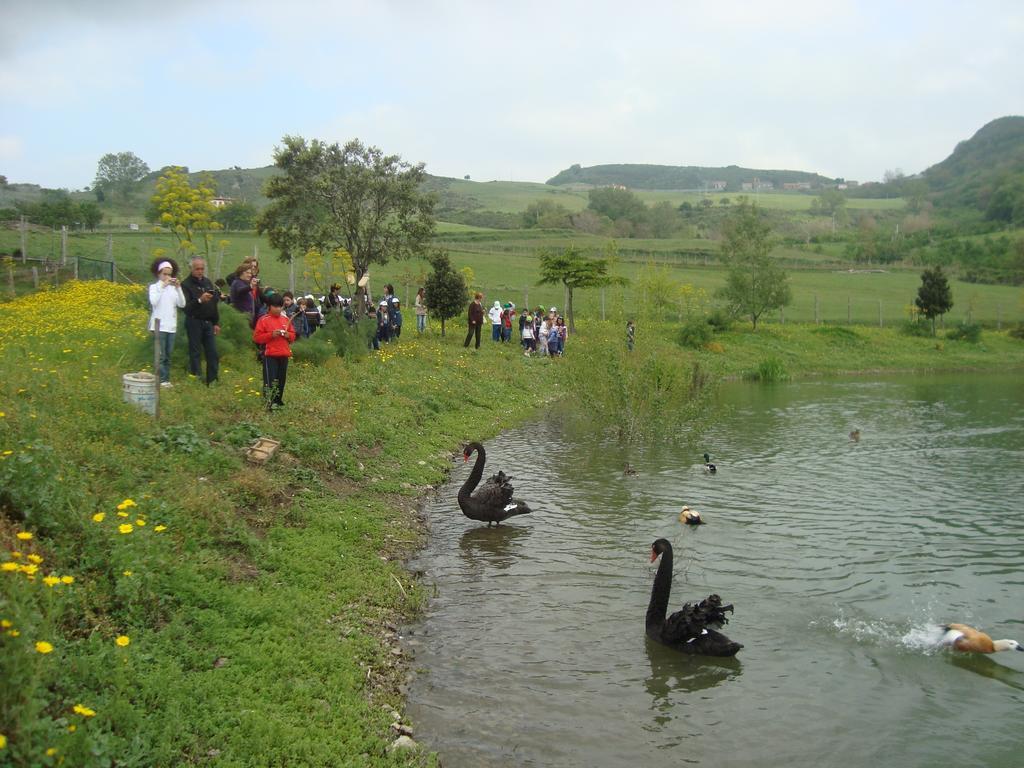 산 피에로 파티 Agriturismo Il Daino 빌라 외부 사진