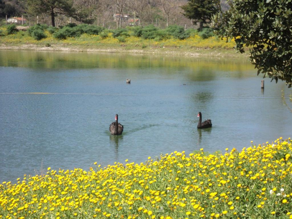 산 피에로 파티 Agriturismo Il Daino 빌라 외부 사진